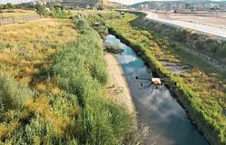Sincan Belediyesi havadan ilaçlama seferberliği...