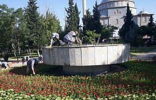 Sincan’da park ve bahçeler çiçeklendi