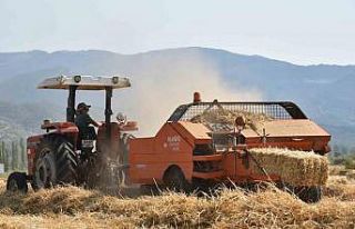 Sındırgı’da kışlık yem hasadı gerçekleştirildi
