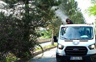 Sinek ve haşere ile mücadele