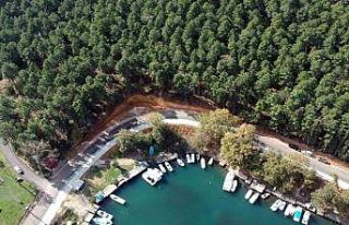 Sinop’ta 30 Eylül’e kadar ormanlara girişler...