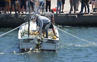 Sinop’ta deniz soğuk yaptı, vatandaşlar balık...