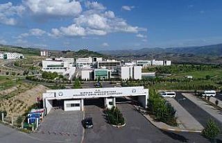 Şırnak Üniversitesi taban puanları açıklandı