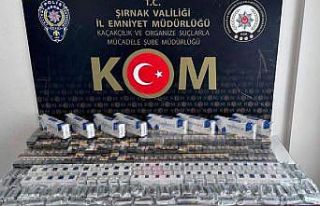 Şırnak’ta asayiş ve kaçakçılık operasyonu:...