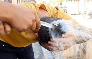 Şırnak’ta hava sıcaklığı 2 ila 6 derece artacak