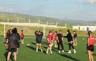 Şırnak’ta huzur ortamının sağlanmasıyla aktif...