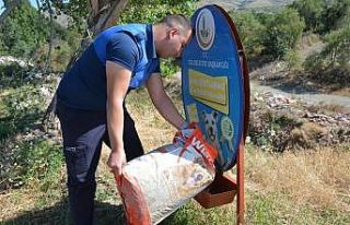 Sokak hayvanları için su ve yiyecek bırakıldı