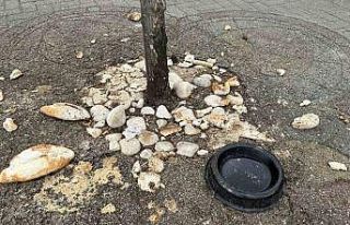 Sokak hayvanlarını besleme yöntemi ‘pes’ dedirtti