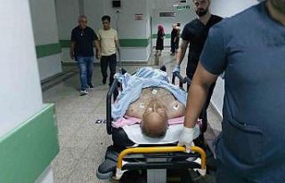 Sokak kedilerini kovduğu için bıçaklı saldırıda...