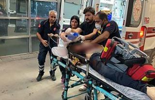 Sokak ortasında amcasını öldürdü, kayıplara...