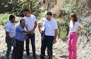 Söke Belediyesi Savuca Deresi’ne el attı