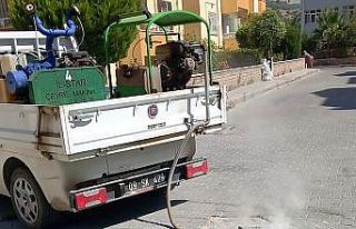 Söke’de Termal Sisleme ile haşere ve uçkun mücadelesine...