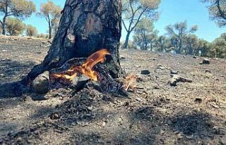 Söndürüldükçe alevleniyor