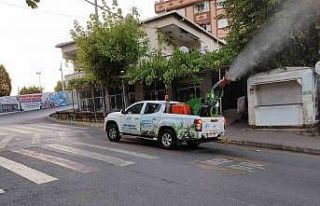 Sultangazi’de böcek ve haşerelere karşı ilaçlama...