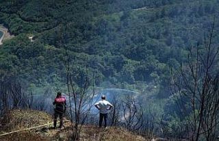 Sultangazi’de ormanlık alanda çıkan yangın kontrol...