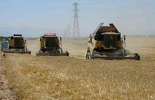 Sultansuyu’nda hububat hasadı başladı