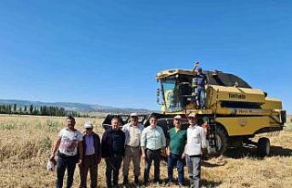 Sungurlu’da biçerdöverler denetleniyor