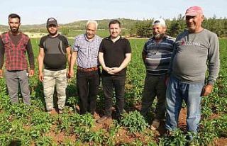 Suya kavuşan köyde arazi fiyatları değerlendi,...