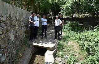 Tarihi Sevek Çeşmesine yürüyüş yolu yapılacak