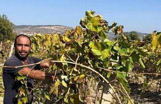 Tarım işçileri araç içerisinde yarı çıplak...