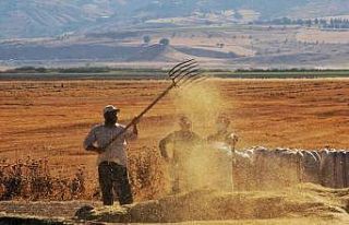 Tarımda üretici enflasyonu haziranda yüzde 57,93...