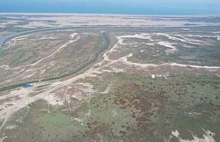 Tarla balıkçılığı ekonomiye 450 milyon dolar...