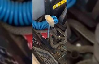 Tarlada çalışan traktöre giren yılan korku dolu...