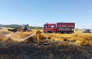 Tarla’da çay keyfi yapayım derken 20 dönüm araziyi...