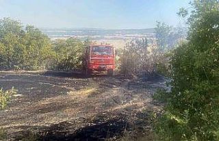 Tarladan ormana sıçrayan yangında hayvanlar da...