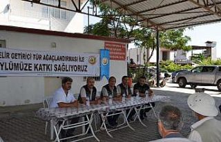 Tarsus’ta orman köylüsüne gelir getirici tür...