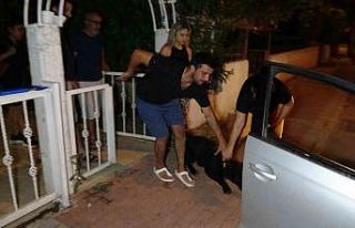 Tasmasız ve ağızlıksız doberman parkta aileye...