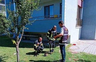 Tavşanlı’da alev alan mutfak tüpü paniğe sebep...