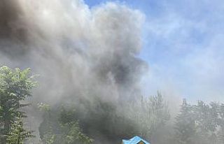 Tek katlı evde çıkan yangında 5 küçükbaş hayvan...