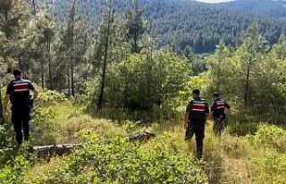 Tekirdağ Jandarması, orman yangınlarına karşı...