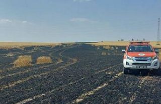 Tekirdağ’da 15 dönüm buğday alevlere teslim...