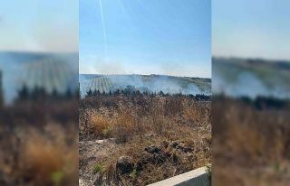 Tekirdağ’da bir çiftlikte çıkan yakın ekiplerce...