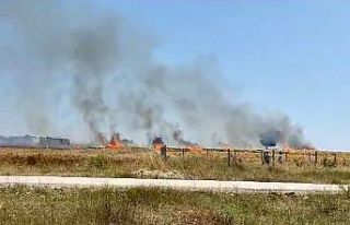 Tekirdağ’da buğday tarlası kül oldu