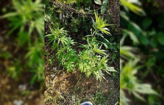 Tekirdağ’da zehir tacirlerine darbe: 7 zanlı gözaltına...