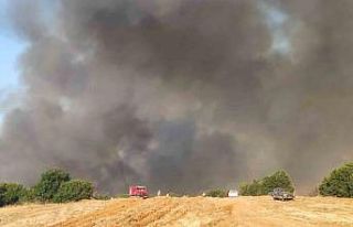 Tekirdağ’daki orman yangını yerleşim yerlerini...