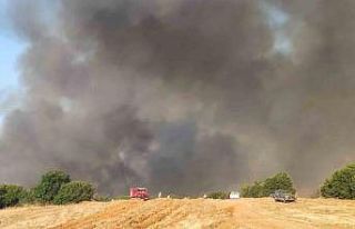 Tekirdağ’daki orman yangınıyla ilgili 2 kişi...