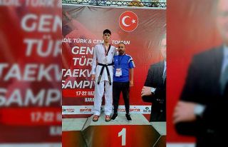 Tekvando şampiyonasına Şahinbey damgası