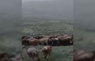 Temmuz ayında kar yağışı