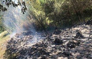 Tercan’da örtü yangını büyümeden söndürüldü