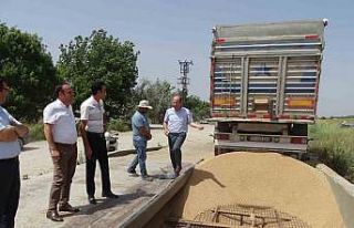 TMO’nun üreticiden aldığı yılın ilk mahsulleri...