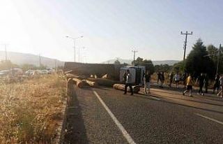 Tomruk yüklü tır devrildi, tomruklar yola saçıldı