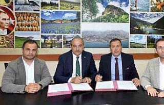 Trabzon’da 400 dönümlük alanda İsabella üzümü...