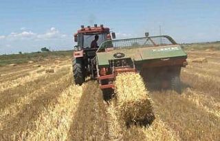 Trakyalı çiftçinin saman mesaisi