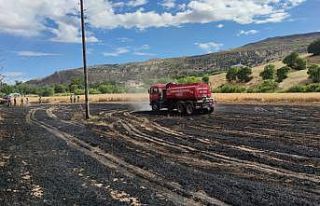 Tunceli’de 15 dönüm ekili alan kül oldu