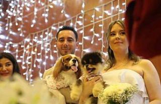 Türk damat ile Rus gelinin tanışmasına vesile...