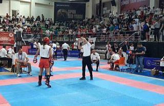 Türkiye Kick Boks Şampiyonası Mardin’de başladı